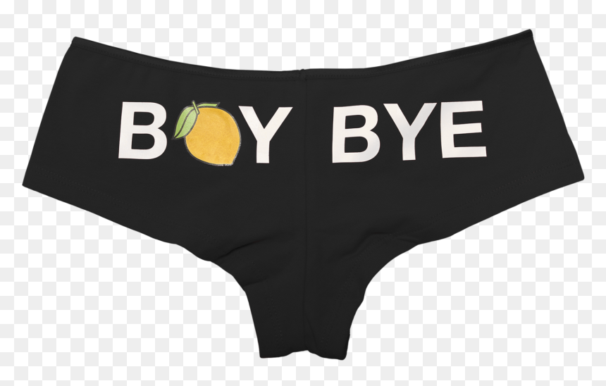 Beyonce Underwear Panties Boy Bye - Underpants, HD Png Download - underwear png