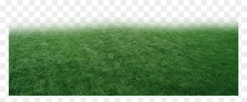 Pasto Y Estadios Png Para Walls - Lawn, Transparent Png - pasto png