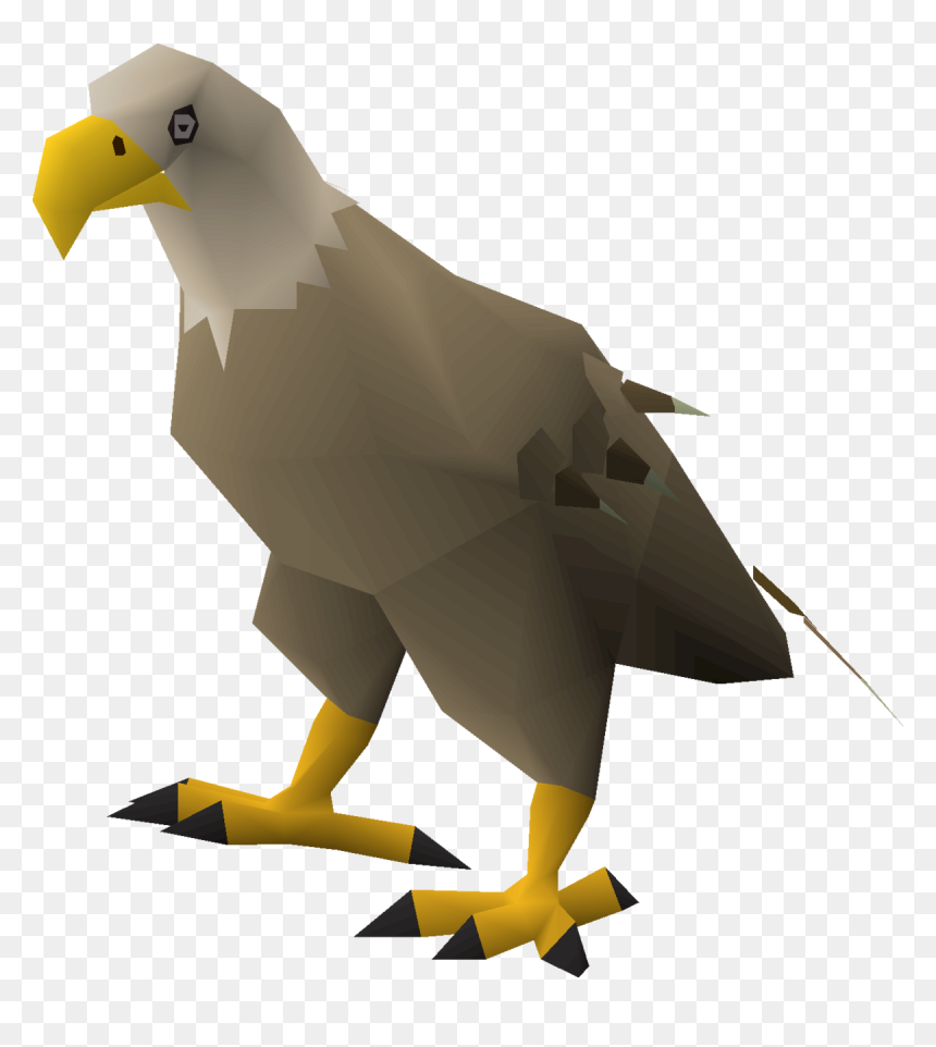 Bald Eagle, HD Png Download - desert eagle png