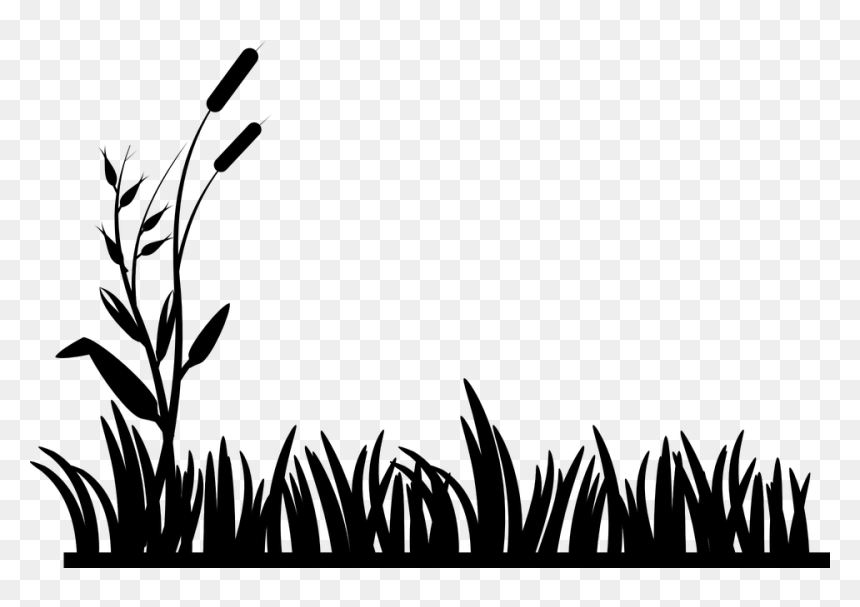 Thumb Image - Black And White Grass, HD Png Download - pasto png