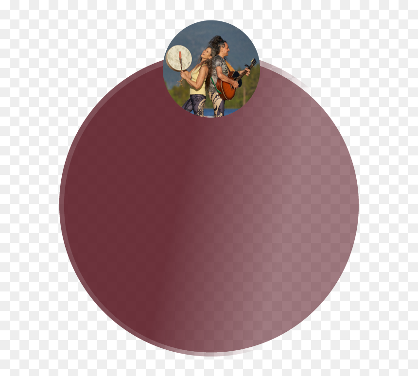 Cd, HD Png Download - forrest png
