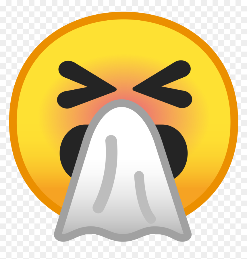 Sneezing Face Icon - Hawaiʻi Volcanoes National Park, HD Png Download - password icon png