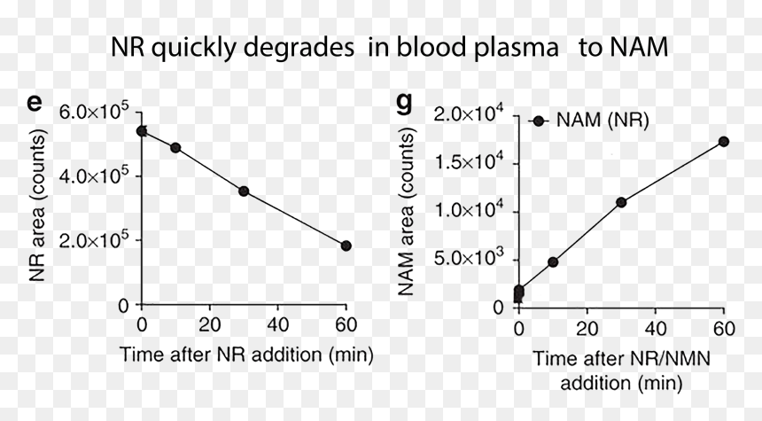 Not Stable In Bloodstream - Plot, HD Png Download - equation png