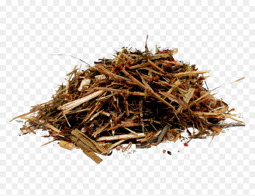 Pasto Png , Png Download - Wood, Transparent Png - pasto png