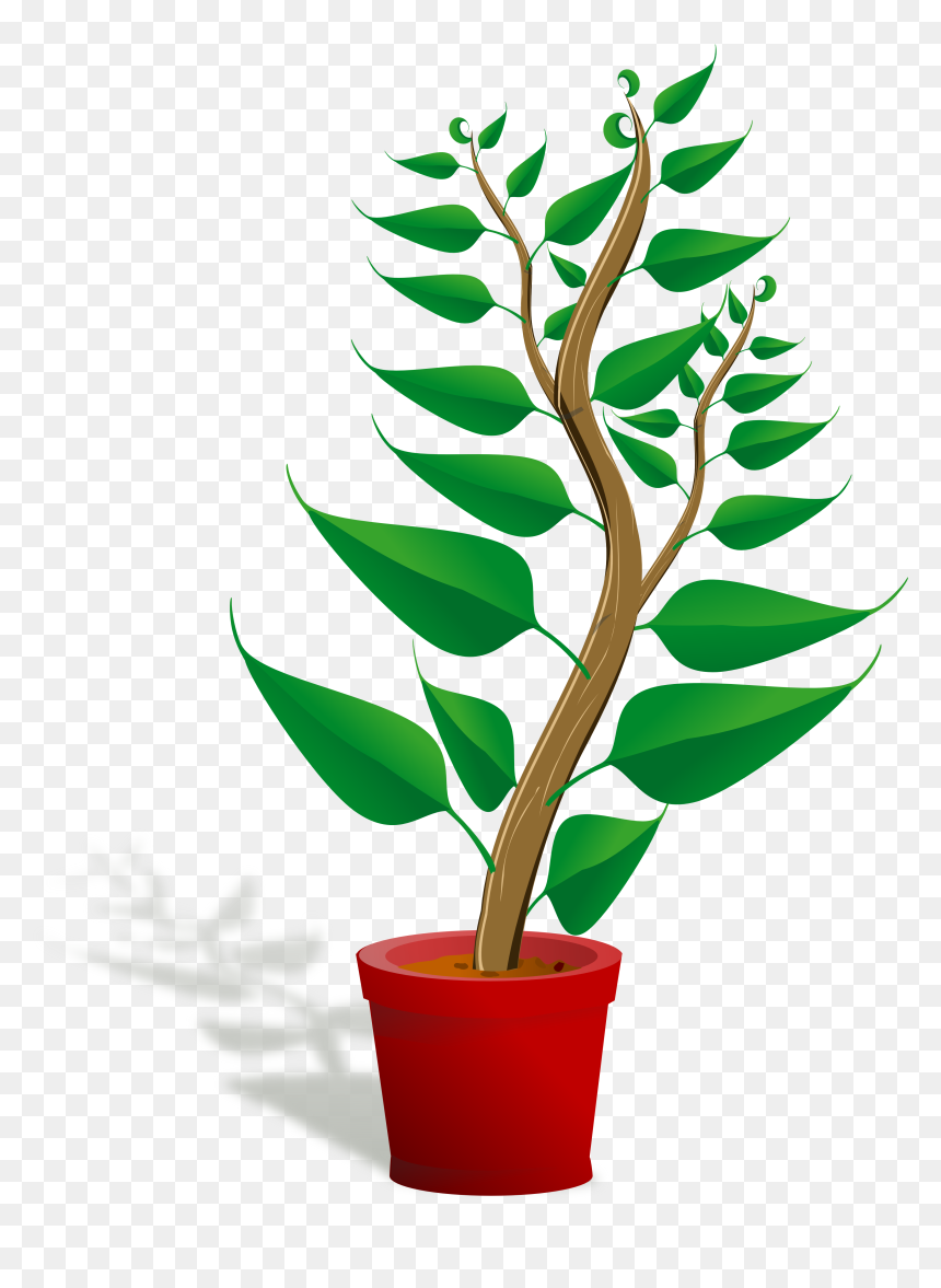 Plant Clip Art Png, Transparent Png - seedling png