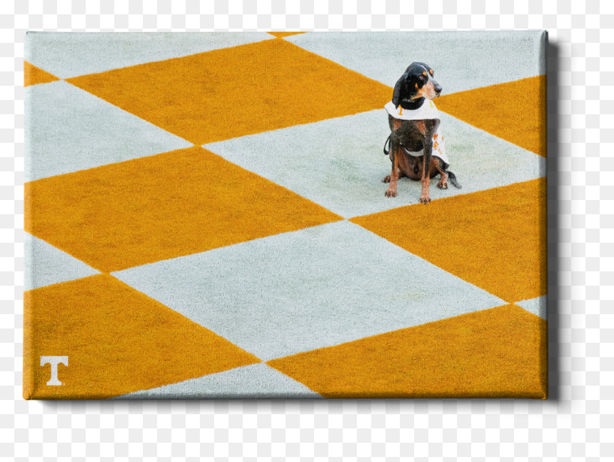 College Wall Art - Tennessee Volunteers Decor, HD Png Download - checkerboard png