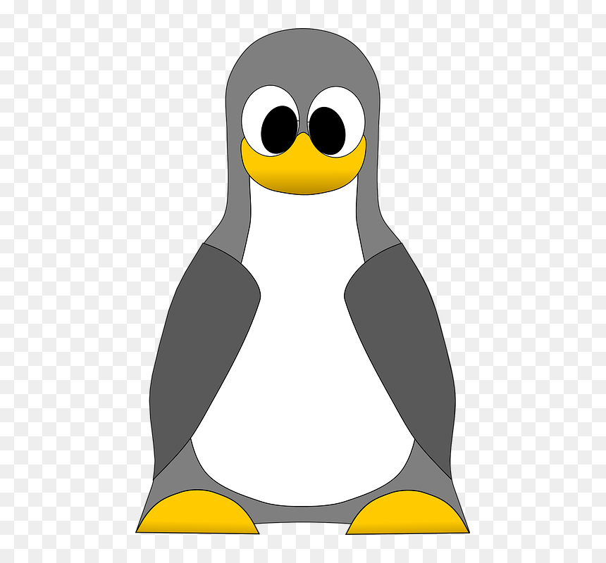 Fish Clip Art, HD Png Download - linux logo png