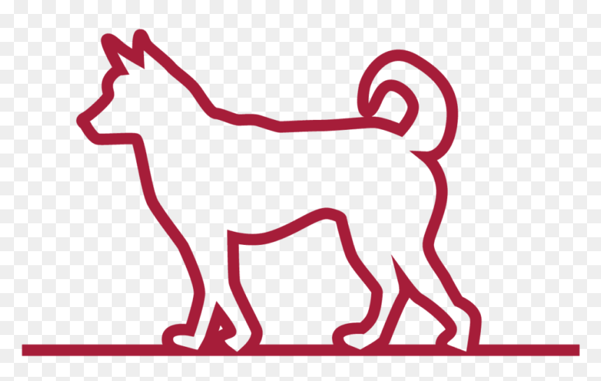 New Puppy Or Kitten - Dog, HD Png Download - dog outline png