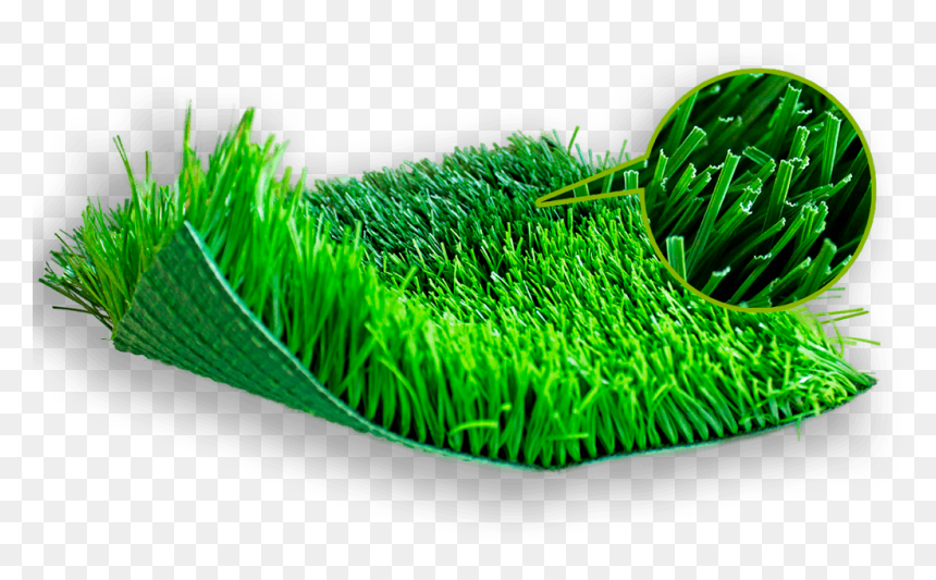 Artificial Turf , Png Download - Sweet Grass, Transparent Png - pasto png
