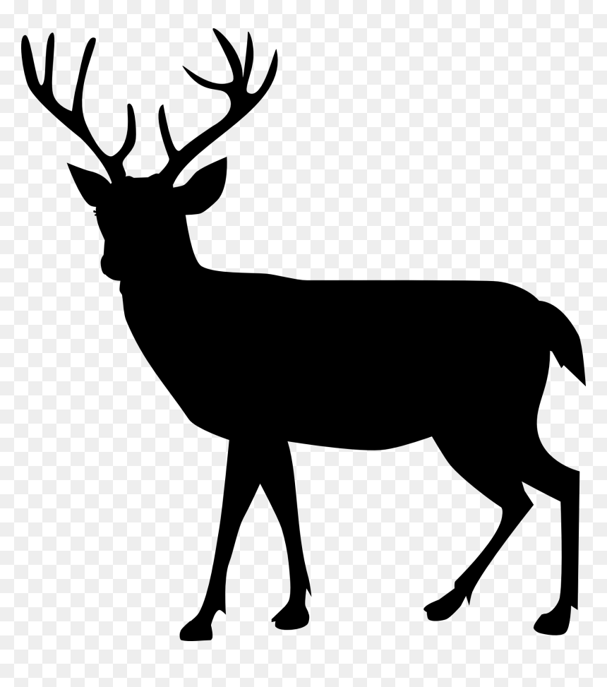Reindeer Moose Silhouette Illustration - Deer Png Black And White, Transparent Png - moose silhouette png