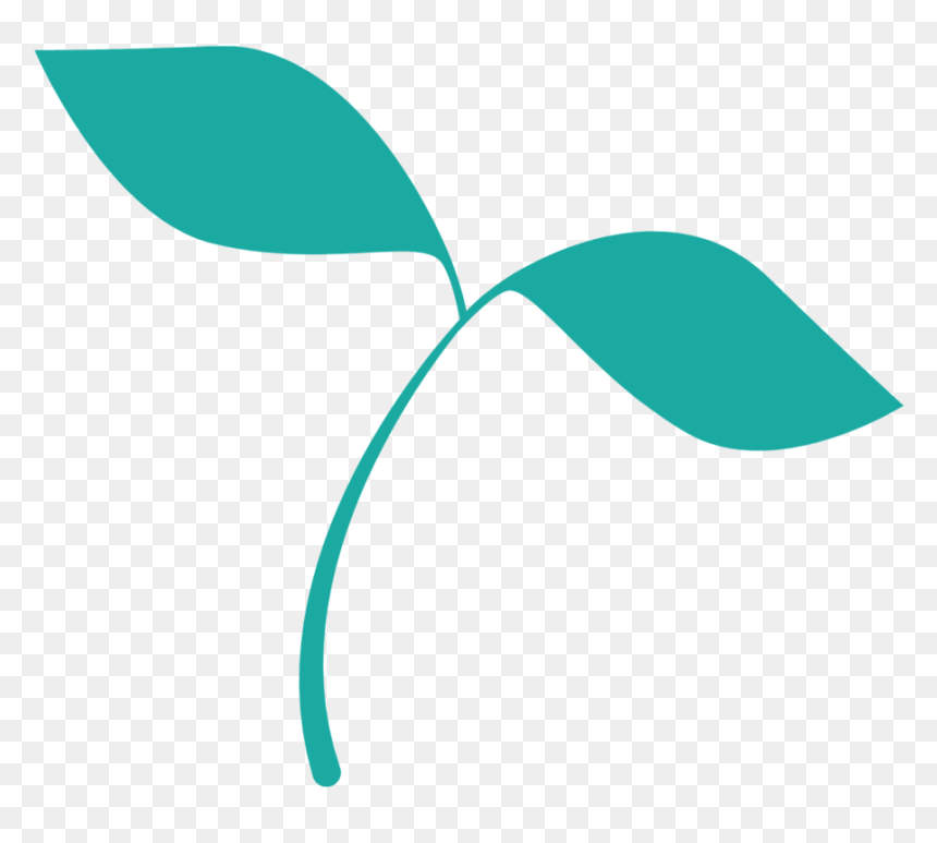 Seedling, HD Png Download - seedling png