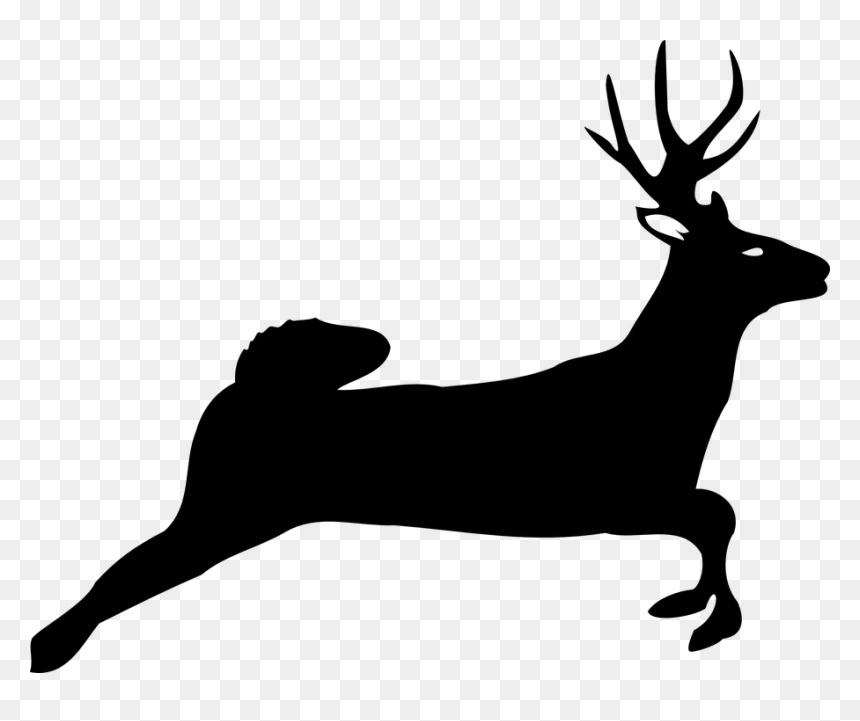White-tailed Deer Horse Moose Show Jumping - Jumping Buck Silhouette, HD Png Download - moose silhouette png