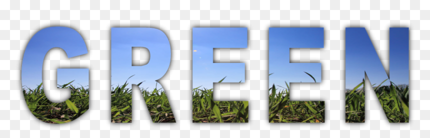 Grass, HD Png Download - land png