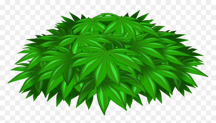 Seedling Clipart Png - Clip Art, Transparent Png - seedling png