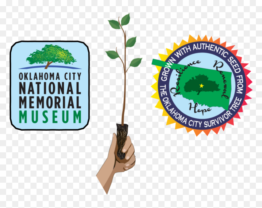 Co Brand Header 01 - Oklahoma City National Memorial, HD Png Download - seedling png