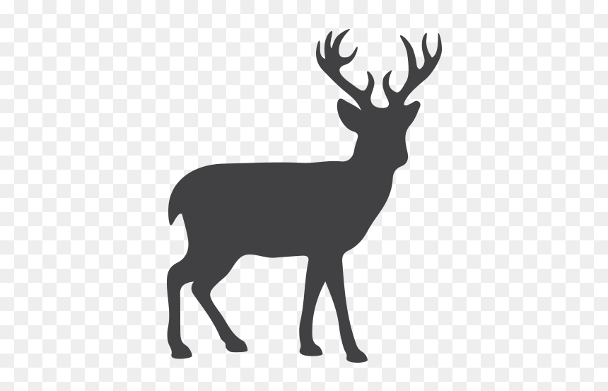Reindeer Moose Silhouette Clip Art - Dusit Zoo, HD Png Download - moose silhouette png