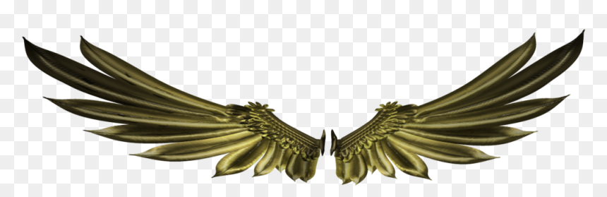 Thumb Image - Wings Logo 3d, HD Png Download - gold wings png