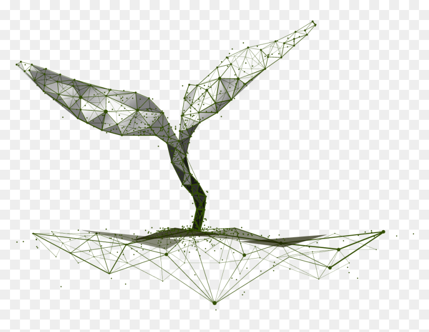 Wireframe Seedling - Drawing, HD Png Download - seedling png