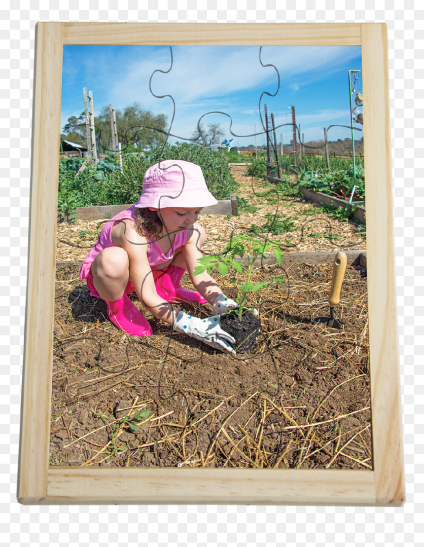 Girl, HD Png Download - seedling png