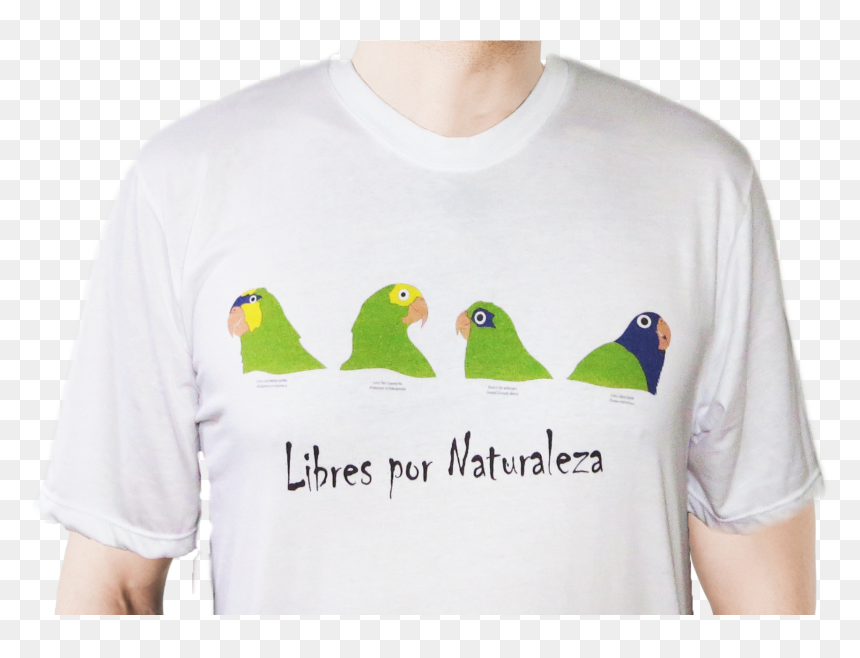 Hombre Png, Transparent Png - hombre png