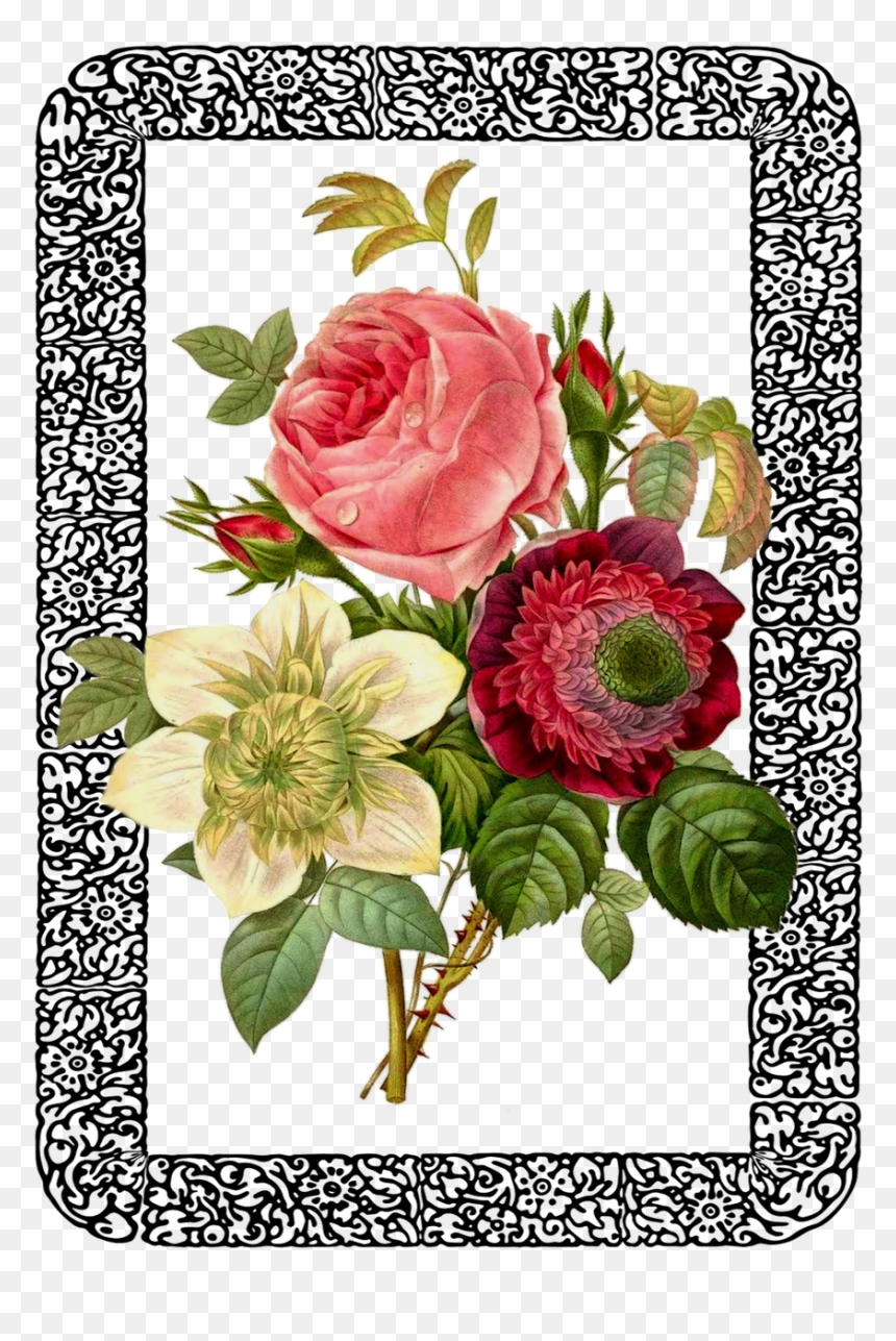 Vintage Rose Bouquet Framed Png Image - Vintage Botanical Prints Peonies Art, Transparent Png - vintage rose png