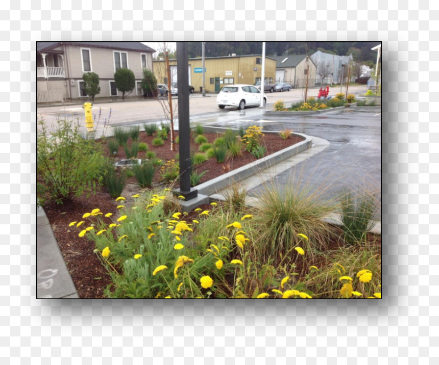 Infiltration Landscape Bed - Dandelion, HD Png Download - walkway png