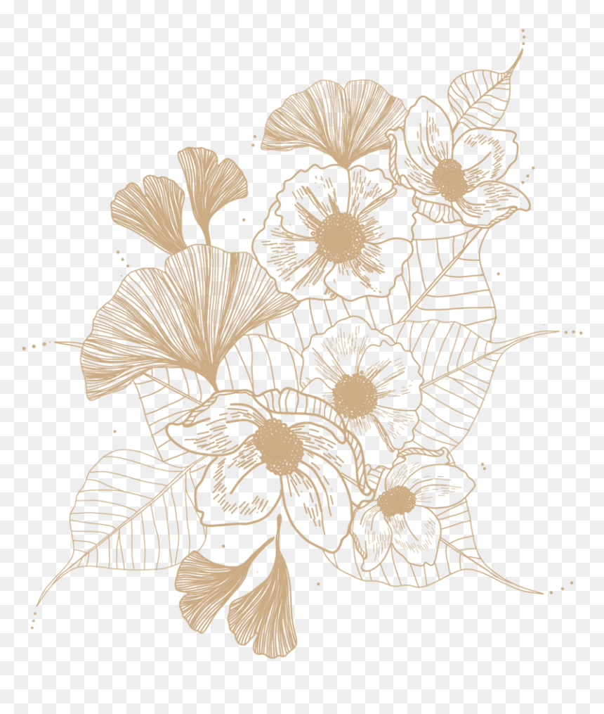 Untitled-1 - African Daisy, HD Png Download - people from above png