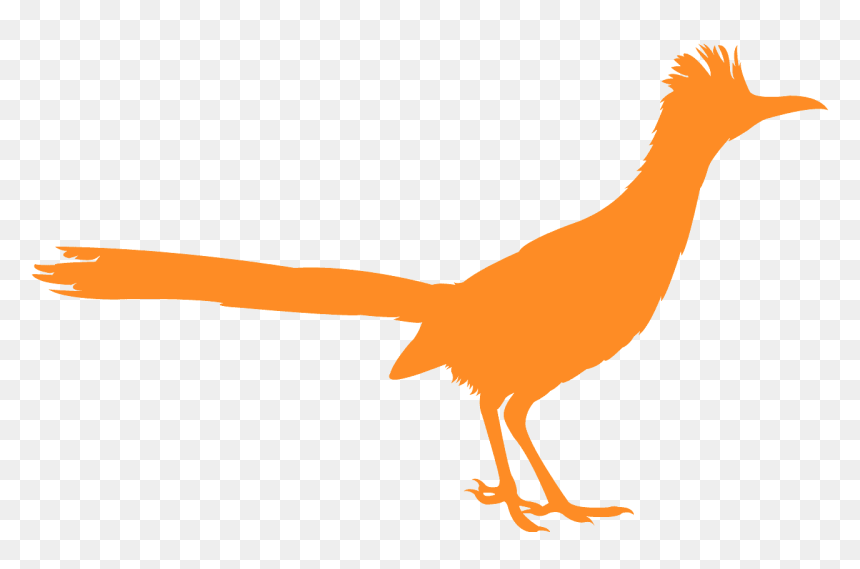 Roadrunner Bird Silhouette - Phasianidae, HD Png Download - roadrunner png