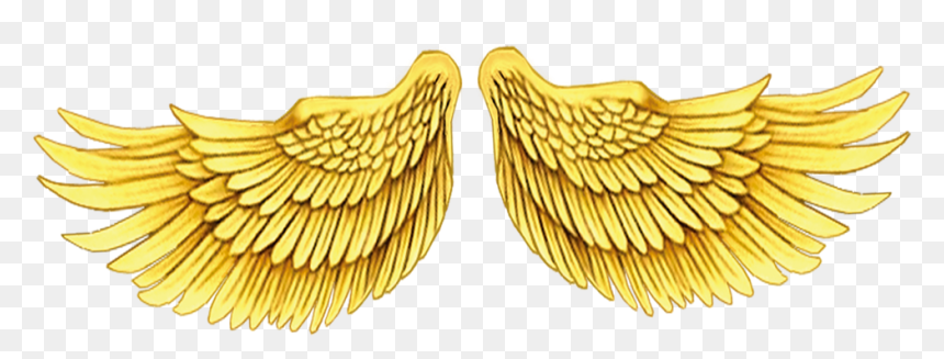 Asa Dourada Png, Transparent Png - gold wings png
