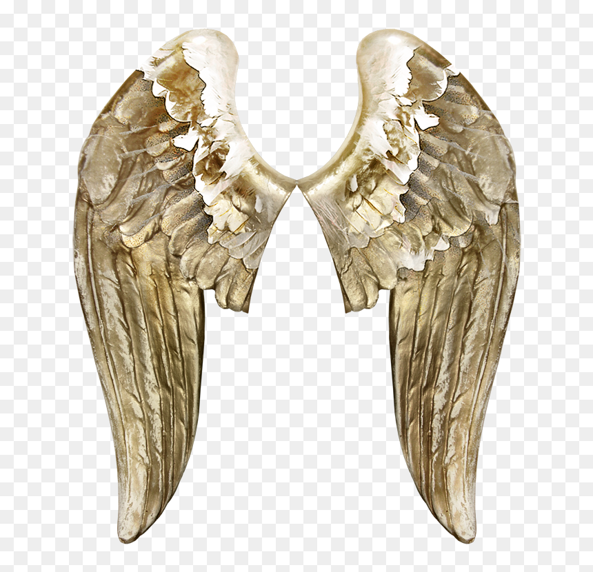 Angels Wing Butterfly - Gold Wings Transparent Background, HD Png Download - gold wings png