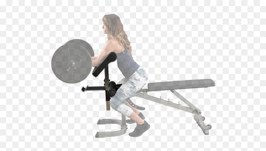 Preacher Curl Station - Body Solid Gfid31, HD Png Download - preacher png
