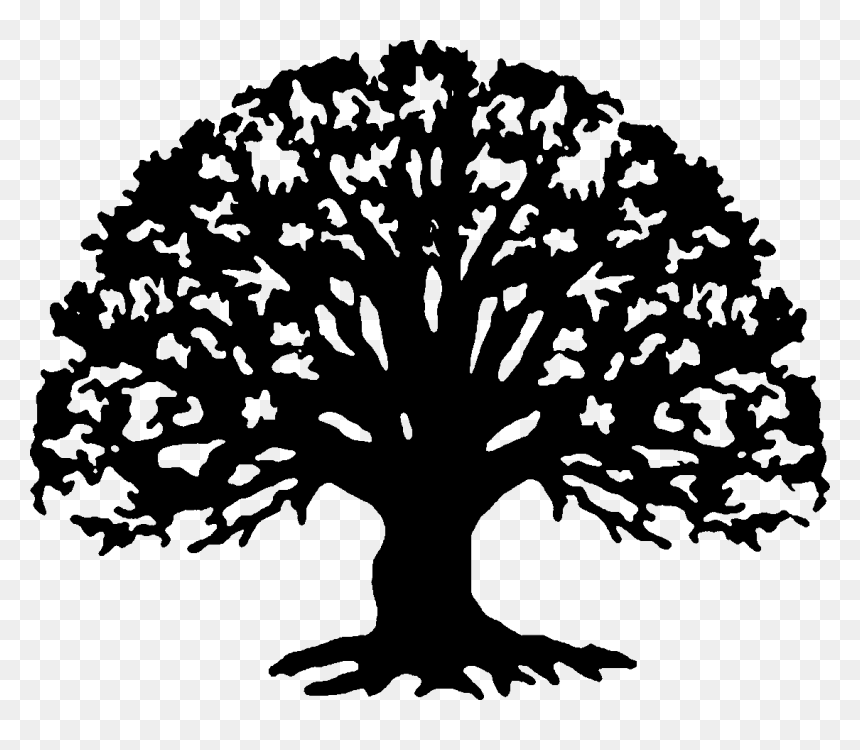 Family Reunion Tree Png Transparent Family Reunion - Family Reunion Tree Silhouette, Png Download - treepng