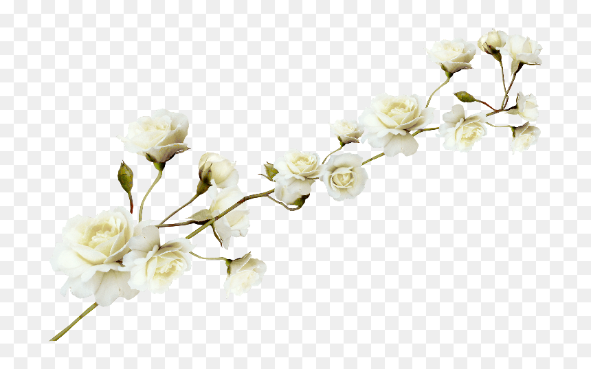 White Flower Pattern Png Download - White Flower Png File, Transparent Png - flower pattern png