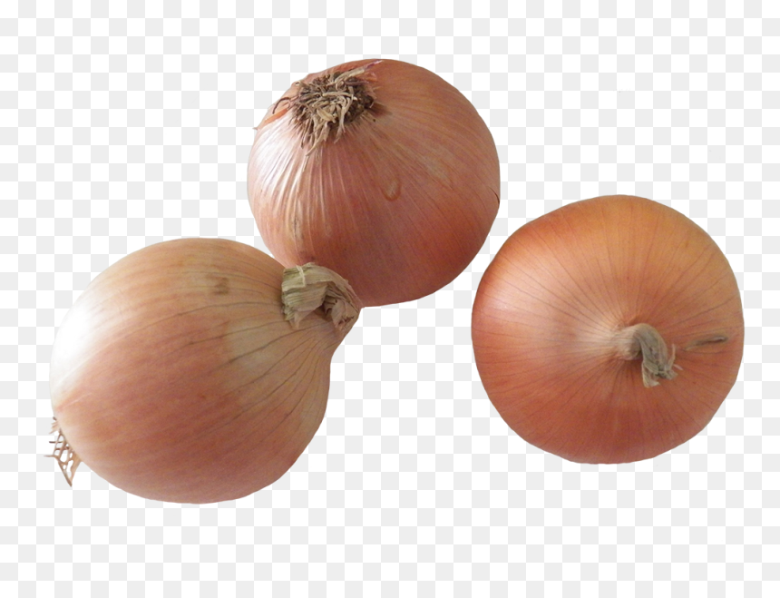 Onions Clipart, HD Png Download - onions png