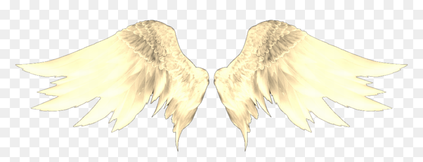 Hmm, I Want A Catchy Title So, Here - Face Angel Face Michael Jackson, HD Png Download - gold wings png