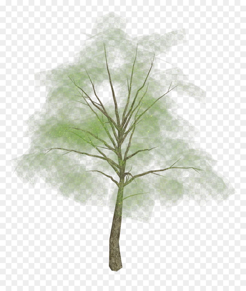 Tree Png Picture - Grass, Transparent Png - treepng