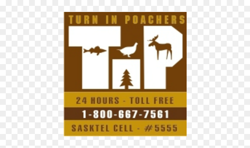 Turn In Poachers, HD Png Download - moose silhouette png
