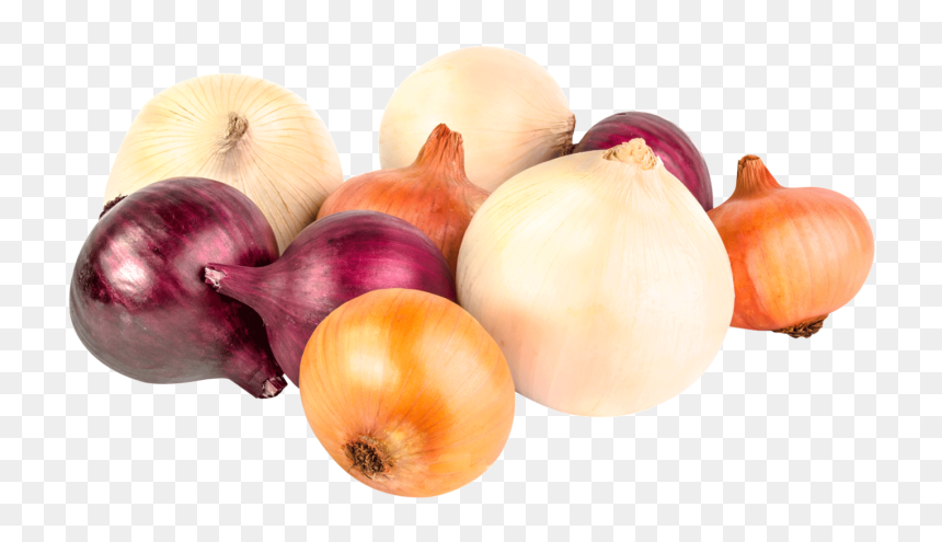 Variété D Oignon, HD Png Download - onions png