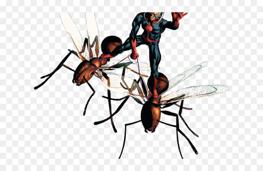Transparent Ant Man Png - Ant-man, Png Download - antman png
