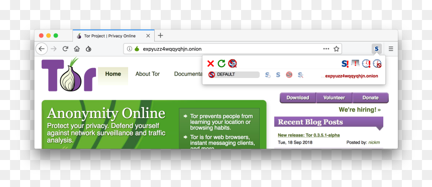 Dark Web Looks Like, HD Png Download - onions png