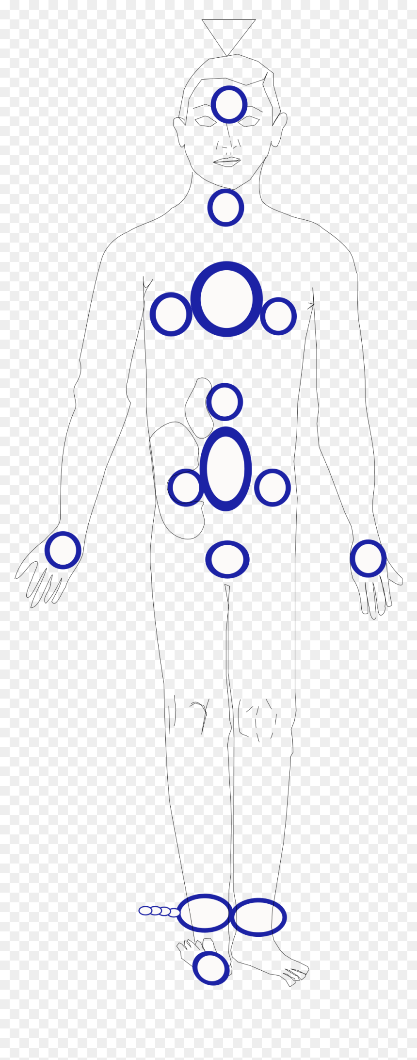 Hombre Indicando Ciertas Zonas Clip Arts - Circle, HD Png Download - hombre png