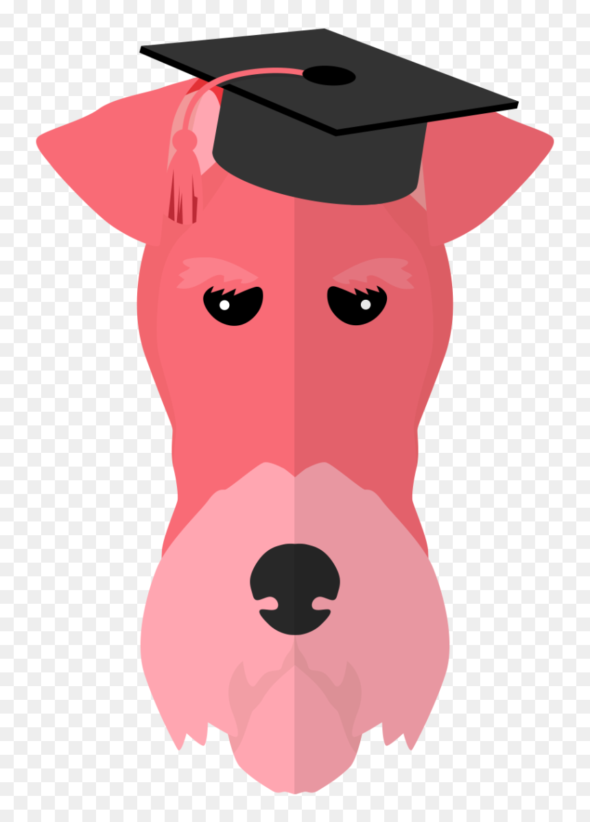 Mortarboard, HD Png Download - birrete png