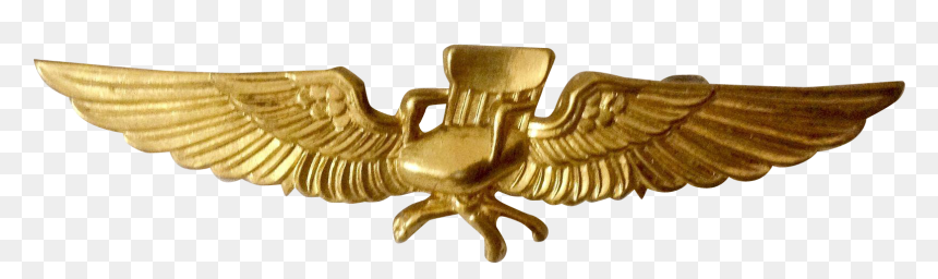 Desk Pilot Wings, HD Png Download - gold wings png