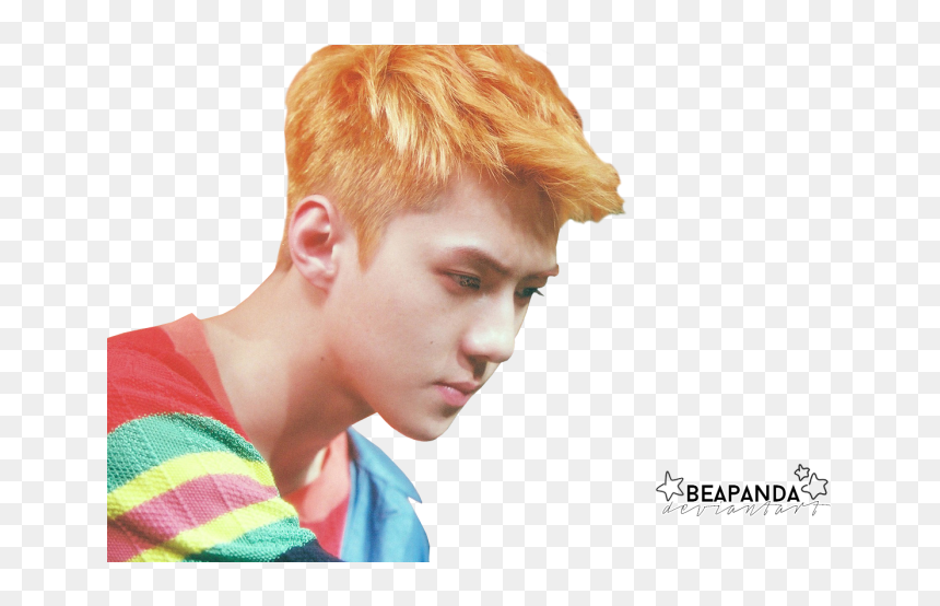 #exo Sehun #exo Sehun 2017 #sehun #sehun Ko Ko Bop - Sehun Kokobop Teaser, HD Png Download - sehun png