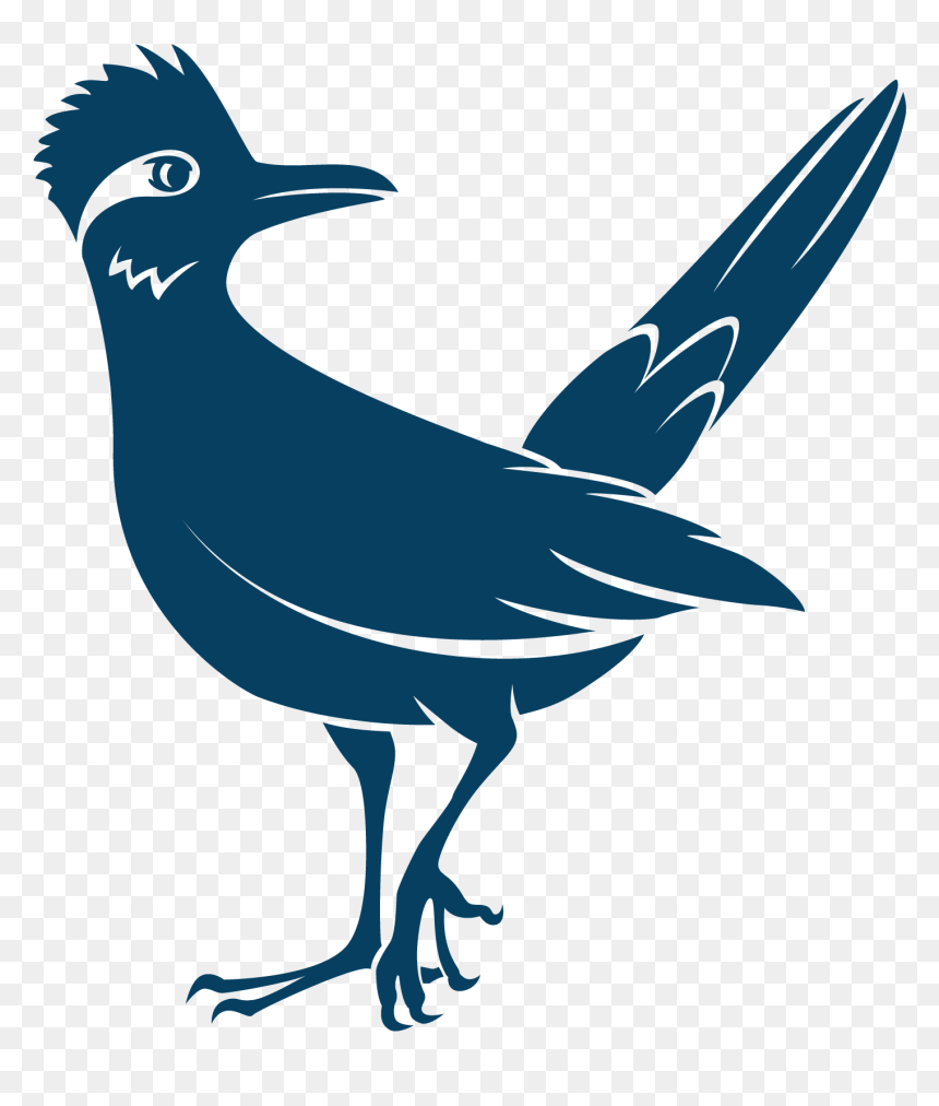 Perching Bird, HD Png Download - roadrunner png