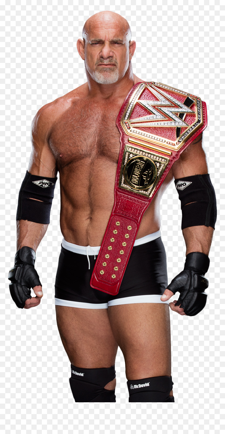 Thumb Image - Goldberg Universal Champion Png, Transparent Png - goldberg png