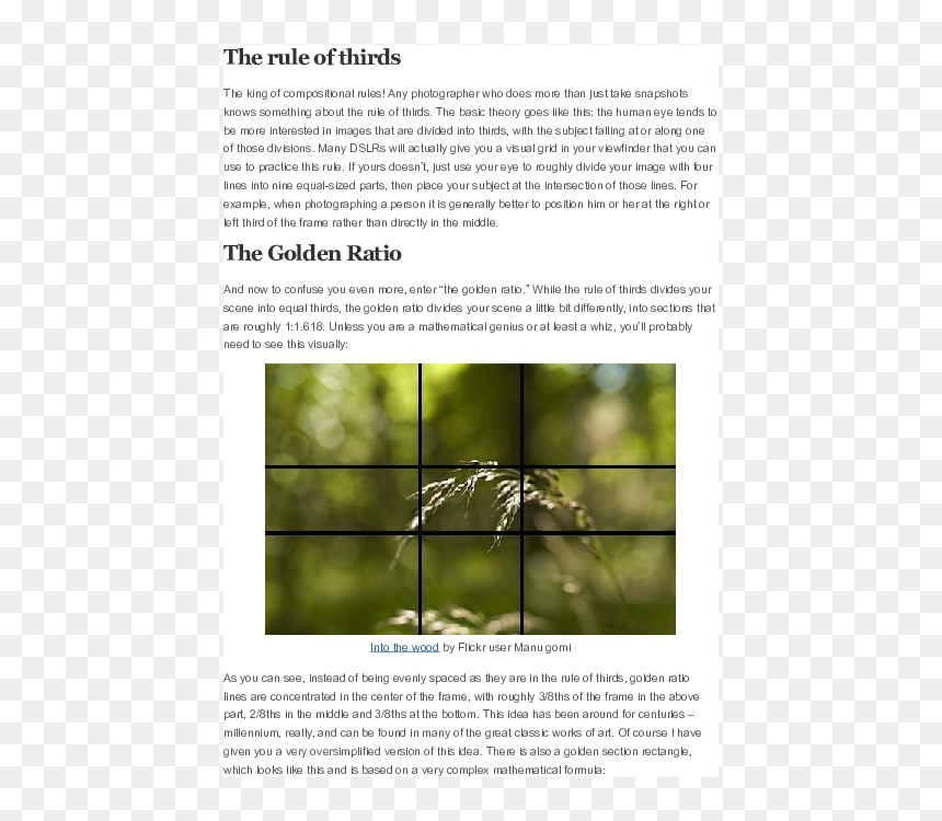 Tree, HD Png Download - rule of thirds grid png