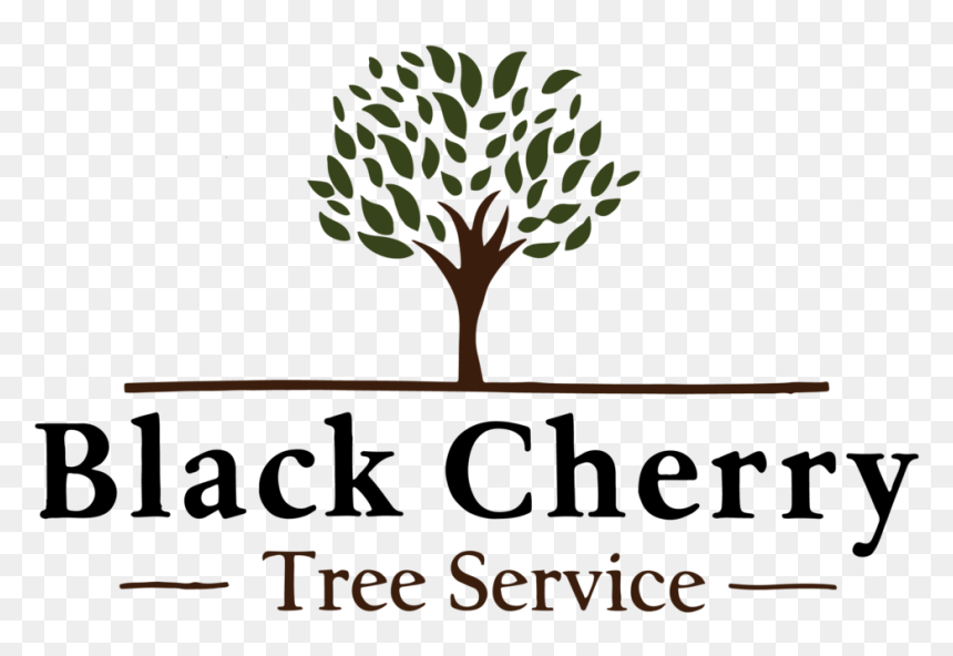 Cherry Tree Png, Transparent Png - cherry tree png