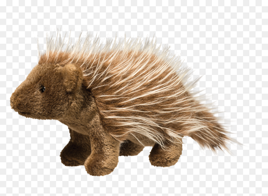 Douglas Percy Porcupine - Stuffed Porcupine, HD Png Download - porcupine png