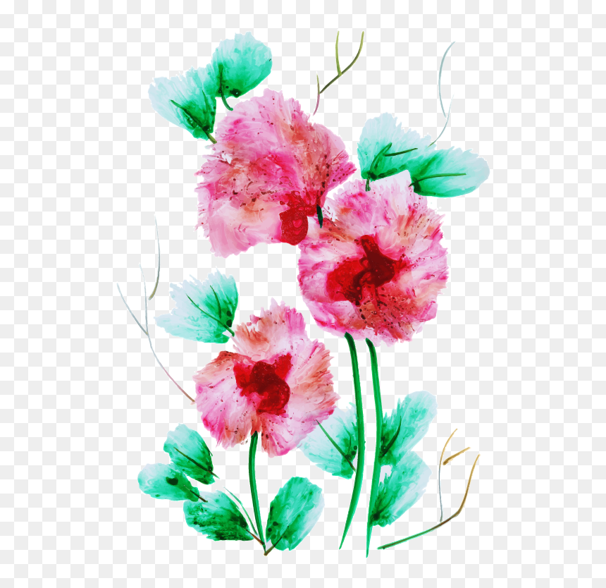 Sweet William, HD Png Download - water color flowers png